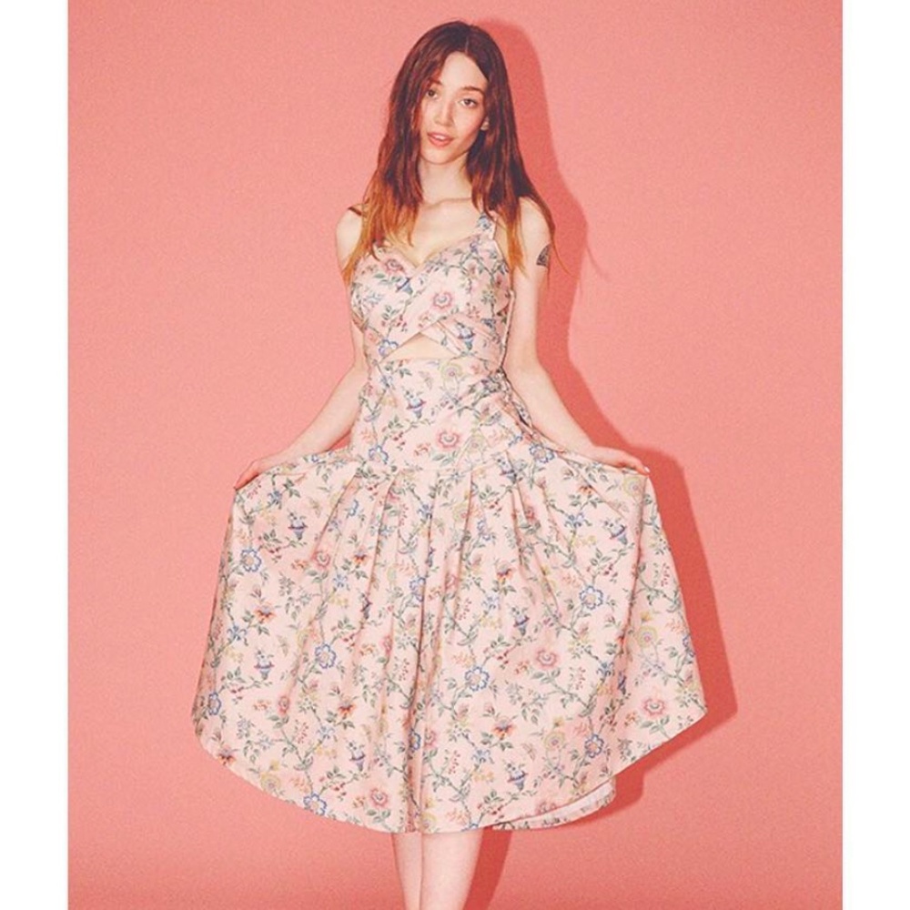 Samantha Pleet Curtain Dress NWT